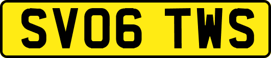 SV06TWS