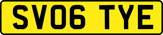 SV06TYE