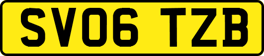 SV06TZB