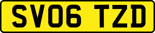 SV06TZD