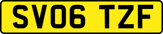 SV06TZF