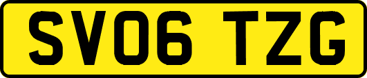 SV06TZG