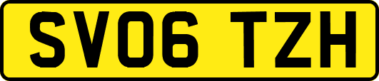 SV06TZH