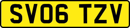 SV06TZV