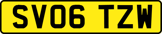 SV06TZW