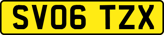 SV06TZX