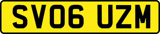 SV06UZM