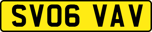 SV06VAV