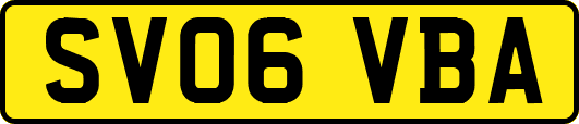 SV06VBA
