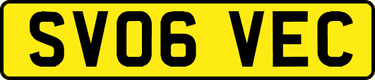 SV06VEC
