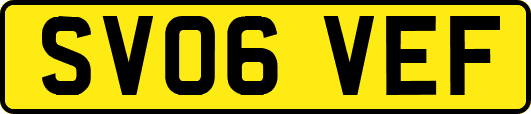 SV06VEF