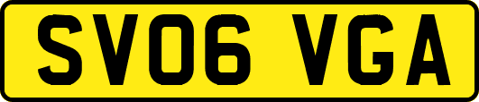 SV06VGA