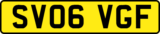 SV06VGF