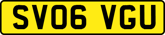 SV06VGU