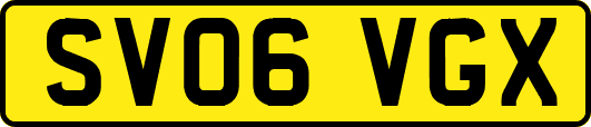 SV06VGX