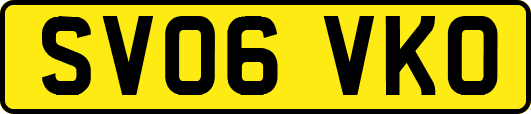 SV06VKO