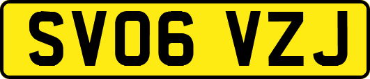 SV06VZJ