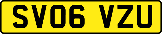 SV06VZU