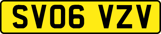 SV06VZV