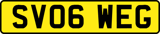 SV06WEG