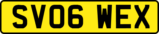 SV06WEX