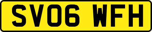 SV06WFH