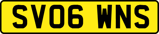 SV06WNS