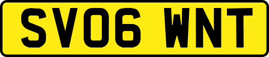 SV06WNT