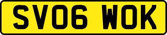 SV06WOK