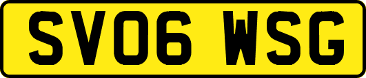 SV06WSG