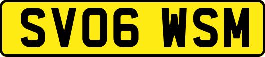 SV06WSM