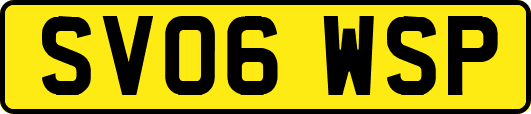 SV06WSP