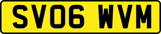 SV06WVM