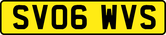 SV06WVS