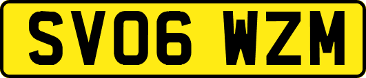 SV06WZM