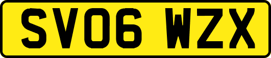 SV06WZX
