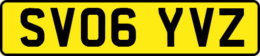 SV06YVZ