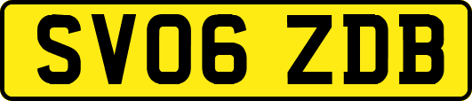 SV06ZDB