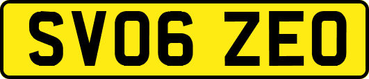 SV06ZEO