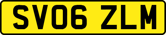 SV06ZLM