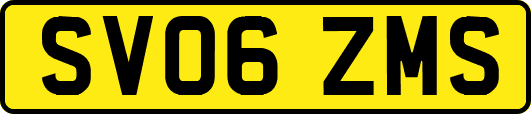 SV06ZMS