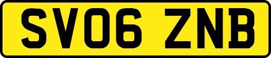 SV06ZNB