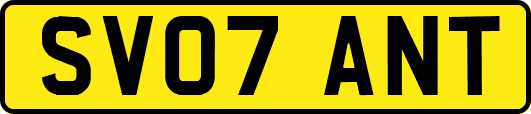 SV07ANT