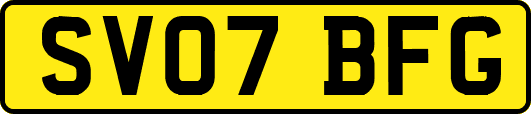 SV07BFG