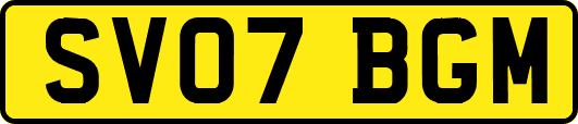 SV07BGM