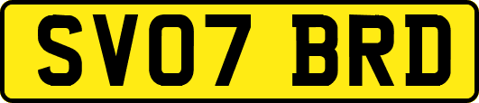 SV07BRD
