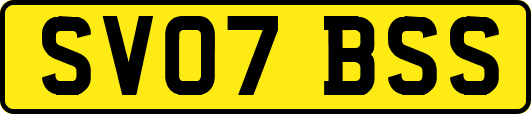 SV07BSS