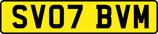 SV07BVM
