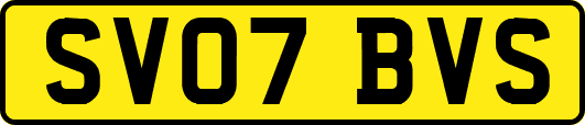 SV07BVS