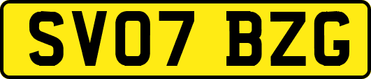 SV07BZG